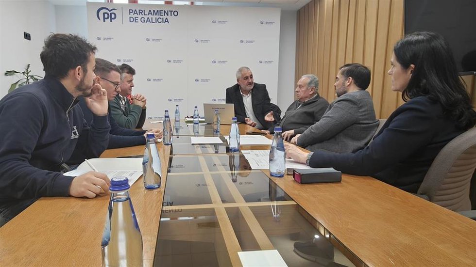 El portavoz parlamentario del PPdeG, Alberto Pazos, y la secretaria xeral, Paula Prado, se han reunido este jueves en el Parlamento de Galicia con el portavoz del PP de Caldas de Reis, Fernando Pérez, y representantes