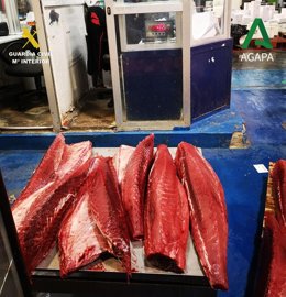 Incautados más de una tonelada de productos pesqueros en Mercasevilla.