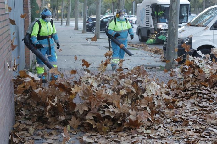 Recogida de la hoja en Madrid