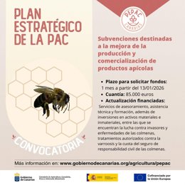 El Gobierno de Canarias convoca ayudas del PEPAC para mejorar la comercialización de productos de la apicultura