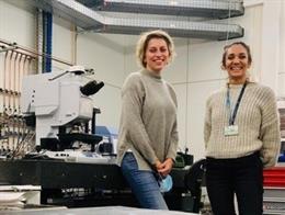 El equipo multidisciplinar internacional , coliderado por la investigadora de la UMA y de IBIMA, Elena González Muñoz, desarrolla una prometedora terapia experimental contra el glioblastoma, el tipo de cáncer cerebral más agresivo y con peor pronóstico.