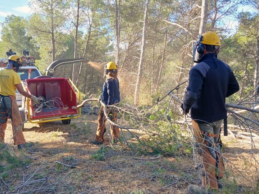 Brigadas forestales en labores preventivas en Luna (Zaragoza).