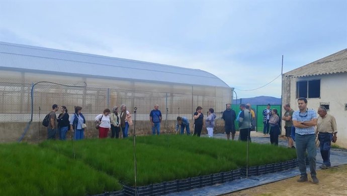 Participantes del taller visitan el vivero de plantas aromáticas en Rágol (Almería).