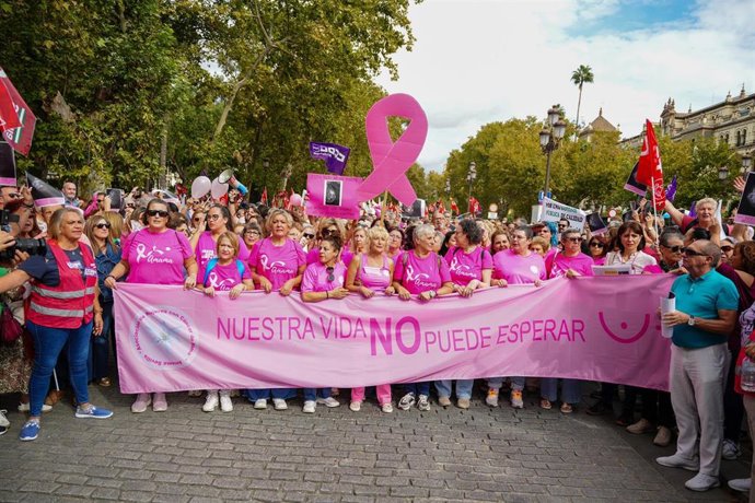 Archivo - Imágenes de la concentración convocada por la asociación (Amama). A 26 de octubre de 2025 en Sevilla, Andalucía (España).  