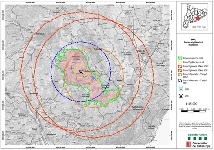 Detectados dos casos positivos de peste porcina africana en Cerdanyola (Barcelona)