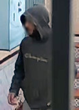 El autor de los robos