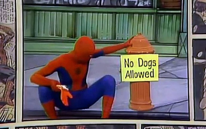 Muere el primer Spider-Man en imagen real, Danny Seagren, a los 81 años