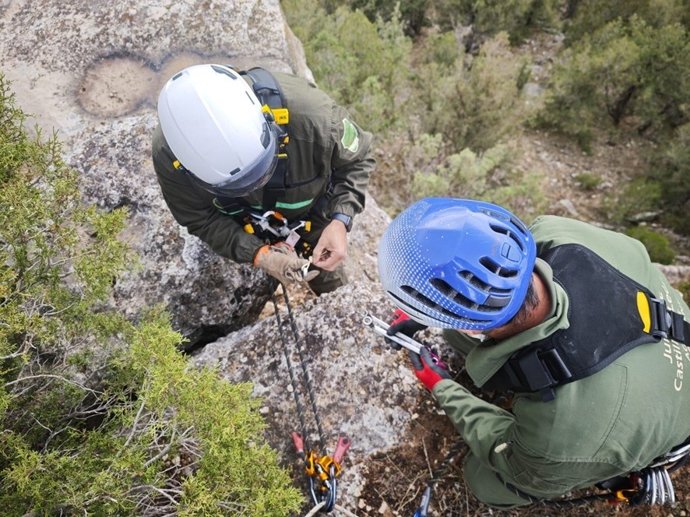 Agentes ambientais da Junta desmantelam rotas de escalada não autorizadas no Parque Guadarrama, em Segóvia.