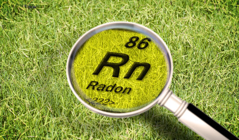 notibrasil sociedade