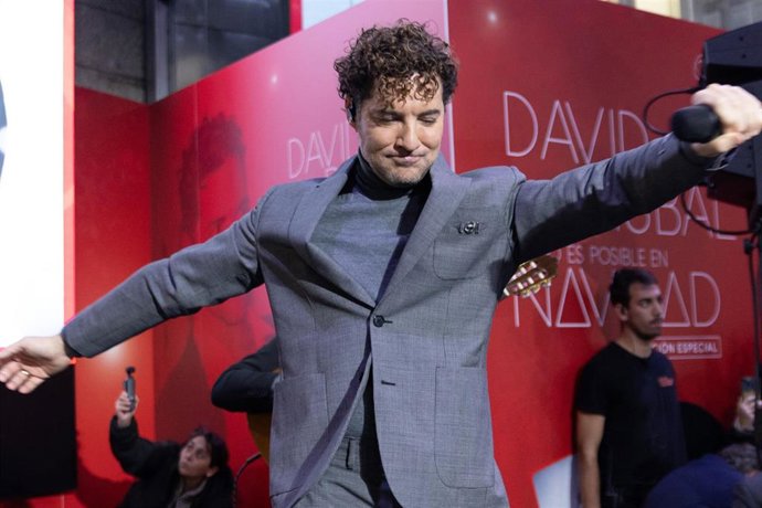 El cantante David Bisbal, durante una actuación