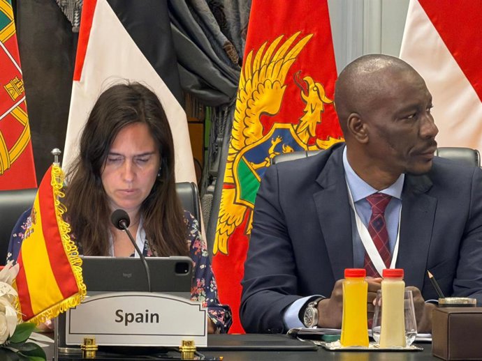 Los representantes esapañoles, Belen Hoyo, diputada del PP, y Luc André Diouf, diputado del PSOE, en el Foro Económico de la Asamblea Parlamentaria de la Unión por el Meditarráneo que se celebra en El Cairo (Egipto)