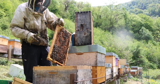 Cantabria Cultura y Deportes