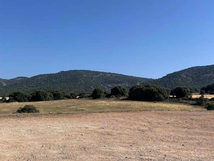 Terrenos del futuro Parque Científico y Tecnológico de Cuenca.