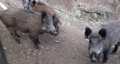 EpAgro - Agricultura