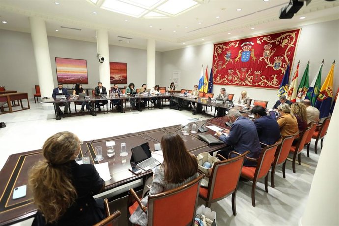 Comisión de Bienestar Social del Parlamento de Canarias