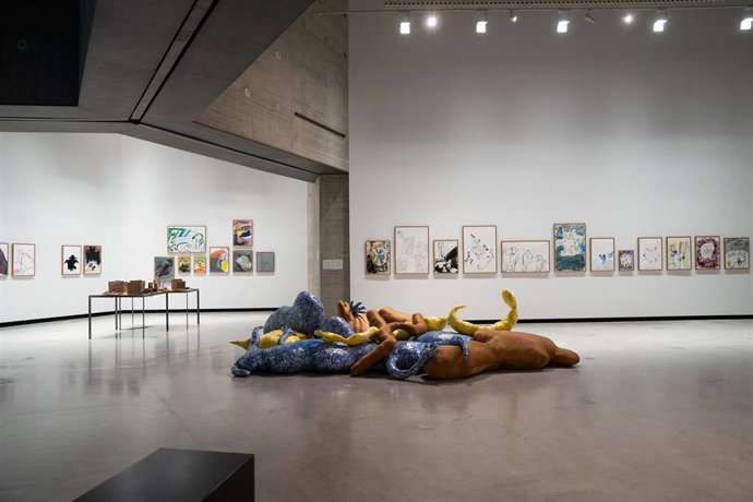 Parte de la exposición de Cecilia Bengolea en el C3A.