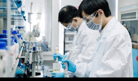 Comunicados Internacional