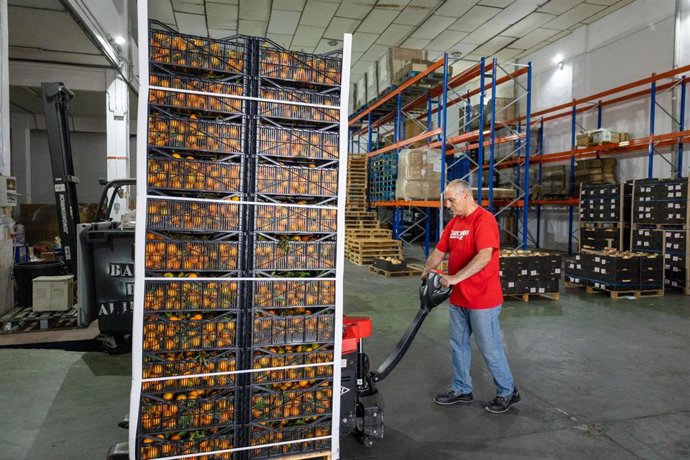 Archivo - Almacén del Banco de Alimentos de Huelva en una imagen de archivo.