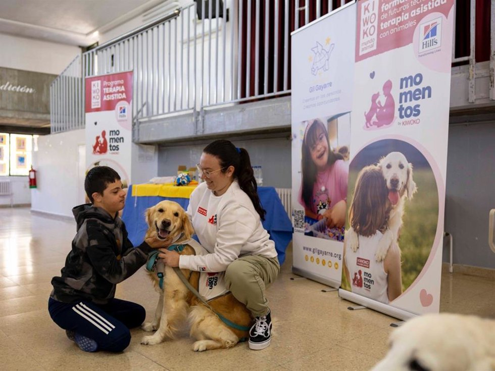 Perros que cuidan: el impacto positivo de los perros de terapia en la salud emocional de niños con discapacidad gracias a la 3 edición de Momentos by Kiwoko