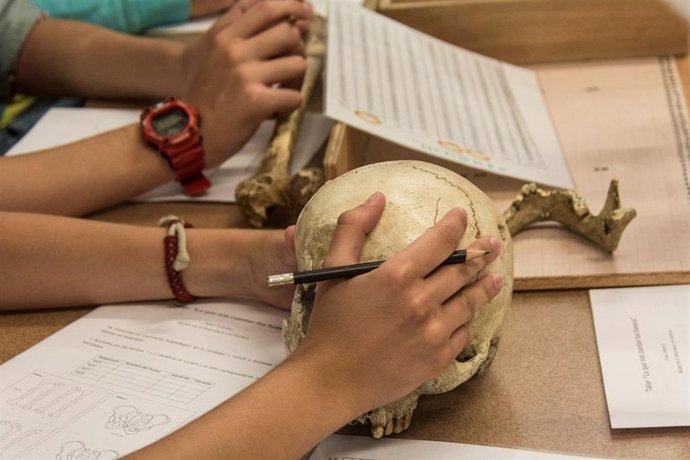 El Museo de Naturaleza y Arqueología de Tenerife reanuda en enero las actividades educativas para centros escolares