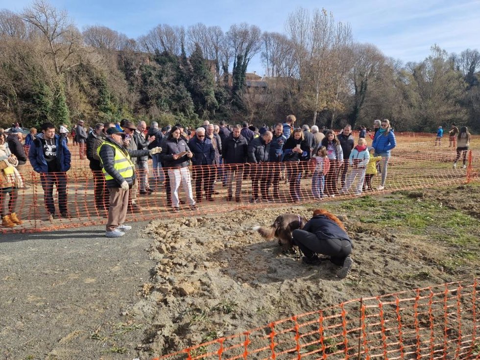 El departamento de Agricultura, Ganadería y Alimentación del Gobierno de Aragón respalda al sector trufero en la VI Feria de la Trufa Negra de Graus.