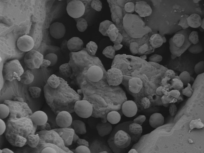 Investigadores de la Universidad de Huelva (UHU) han inmovilizado microalgas en aceite usado y azufre industrial para obtener un biofilm que limpia metales pesados del agua.