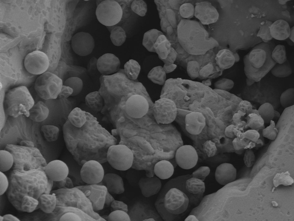 Investigadores de la Universidad de Huelva (UHU) han inmovilizado microalgas en aceite usado y azufre industrial para obtener un biofilm que limpia metales pesados del agua.