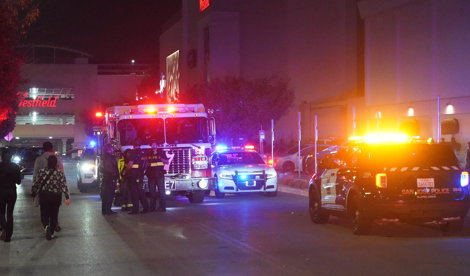 notibrasil sociedade