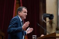 El Govern organiza la captura de posibles jabalís infectados con peste porcina en Collserola