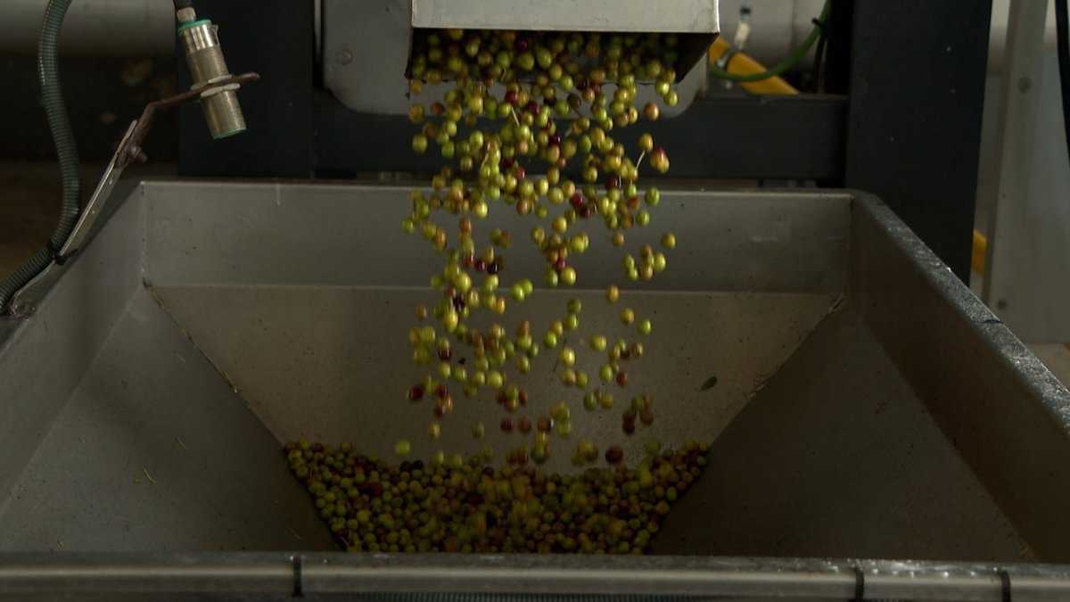 Siete cooperativas de C-LM se unen a la Marca Producto Cooperativo para diferenciar sus productos en calidad y precio