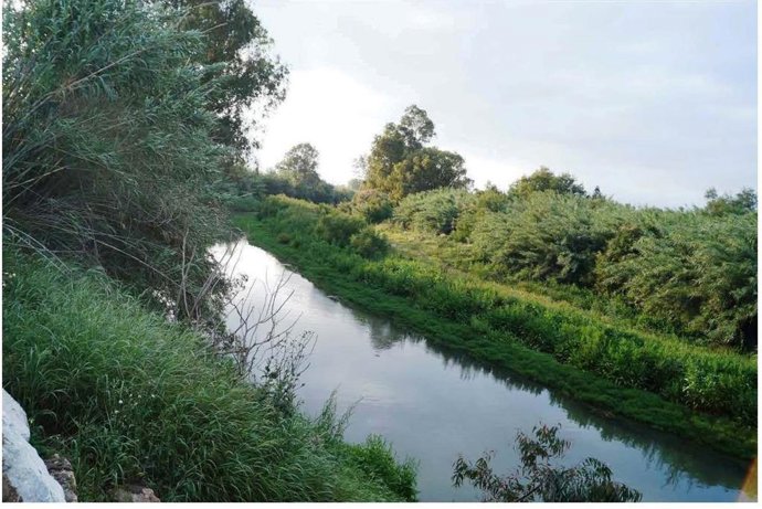 Imagen del cauce del río Guadalhorce a su paso por Alhaurín de la Torre.