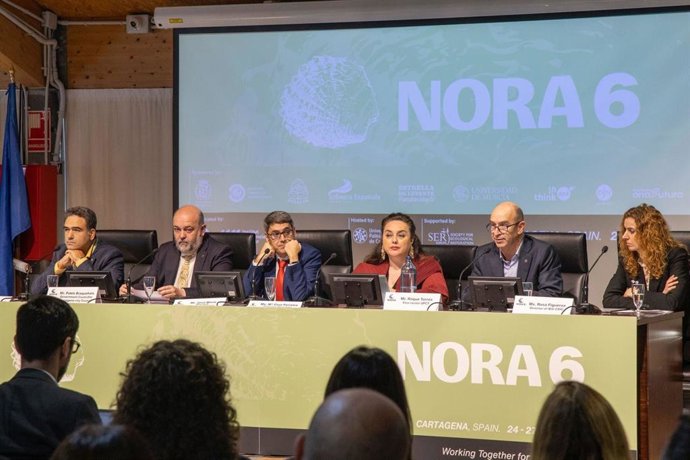 La Secretaria Autonómica De Energía, Sostenibilidad Y Acción Climática, María Cruz Ferreira, Durante La Inauguración Del Encuentro Europeo NORA 6.