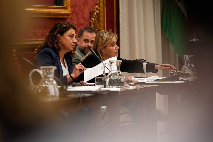 La concejala socialista Nuria Gutiérrez, en una imagen de archivo en el Pleno del Ayuntamiento de Granada.