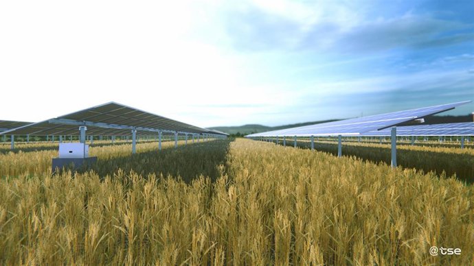 Archivo - Soltec se alía con TSE para el desarrollo de productos agrivoltaicos en el mercado francés