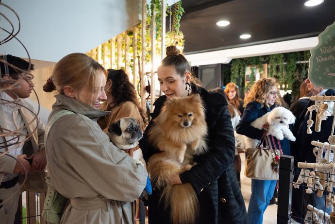 Nuevo Hotel & Spa para perros: The Place Madrid