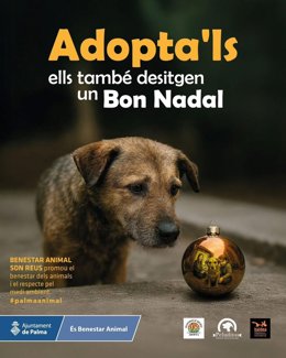 Cartel de la campaña del Ayuntamiento de Palma para promover la adopción de animales por Navidad.