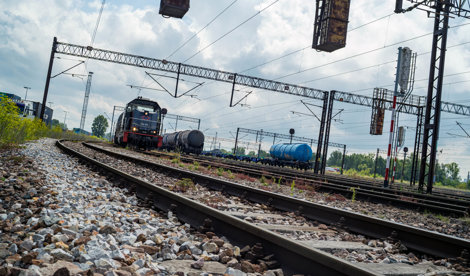 notibrasil sociedade