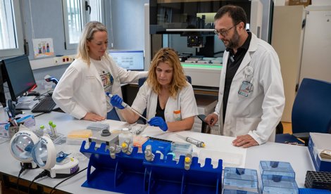 Es Andalucía - Granada