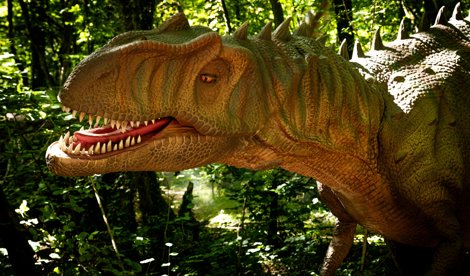 Comunicados Ocio y Deportes