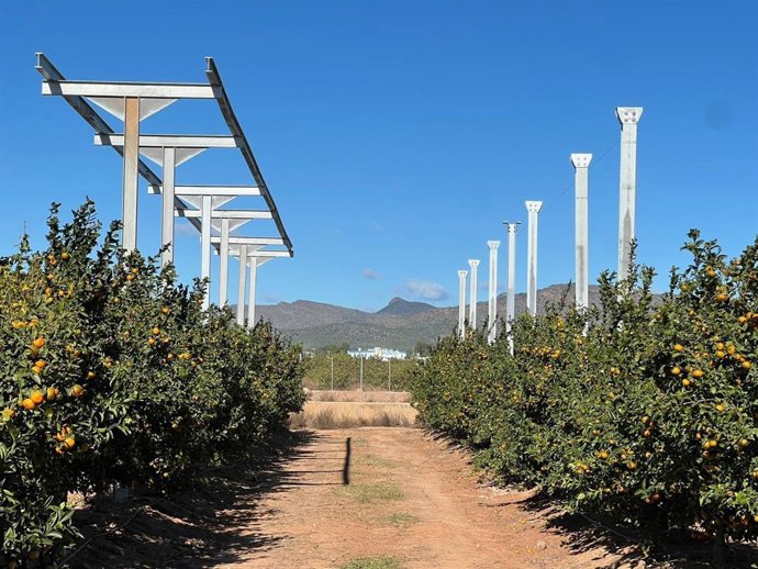 Planta piloto agrivoltaica de la UPV