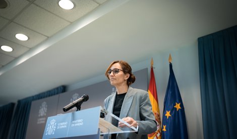 notibrasil sociedade