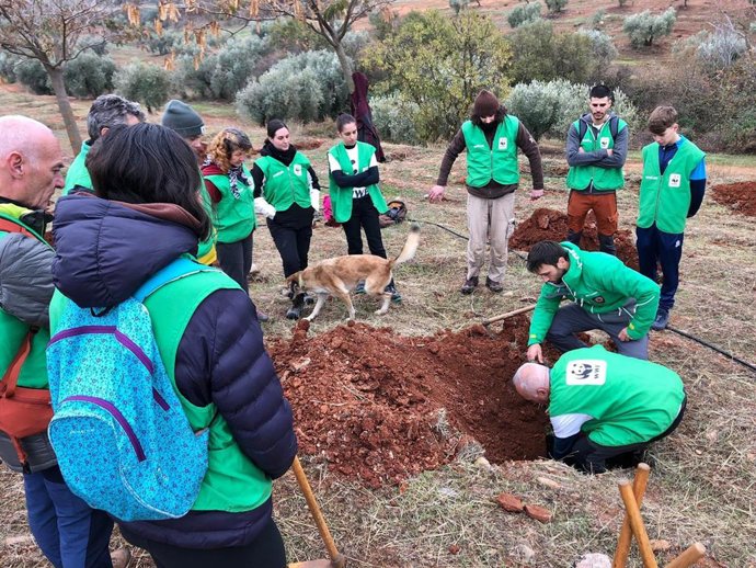 WWF celebra su 14ª “Plantación en Red” con ocho acciones simultáneas de restauración para crear paisajes resilientes frente a la crisis climática