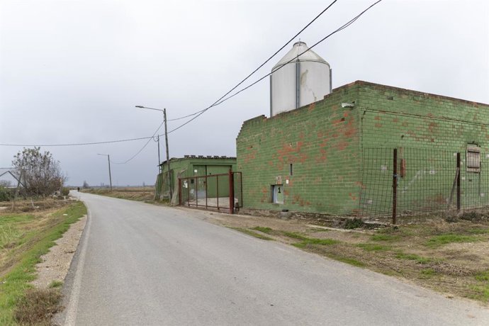 Granja de cerdos en Ivars d'Urgell, a 30 de noviembre de 2025, en Ivars d'Urgell, Lleida, Catalunya (España).