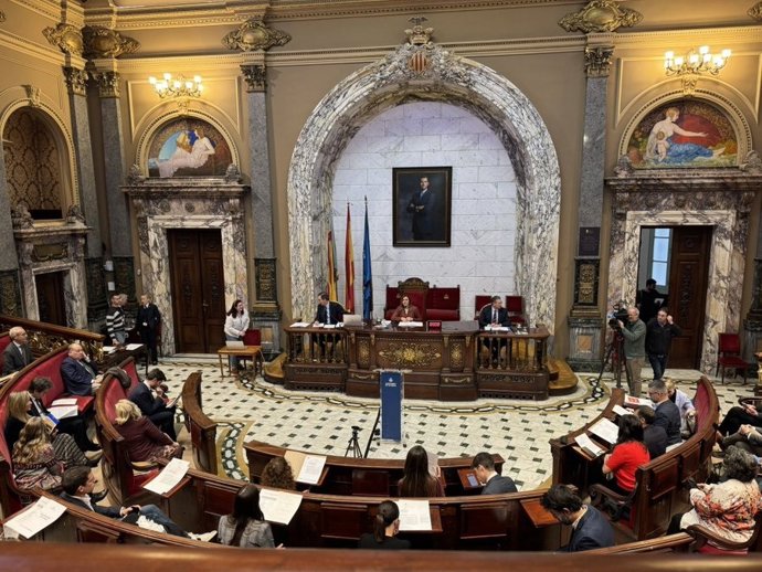 Imagen del pleno extraordinario celebrado en el Ayuntamiento de València sobre la ZBE.
