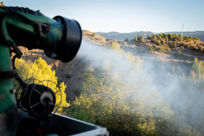 Las tareas, que consisten en la pulverización de un producto no tóxico, se están llevando a cabo en todas las zonas forestales de la ciudad y en los pinos próximos a equipamientos como centros de salud, colegios o parques infantiles