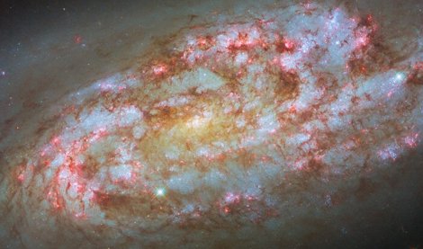 notibrasil sociedade