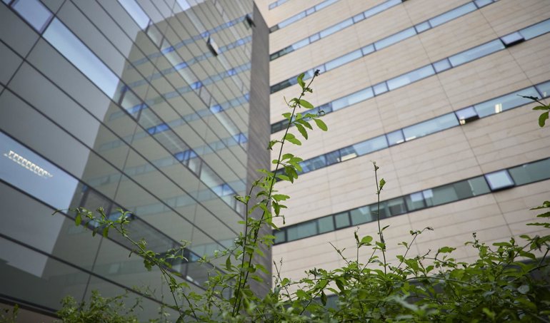 Es Andalucía - Granada