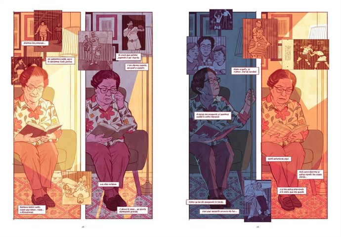 Il·lustracions del projecte