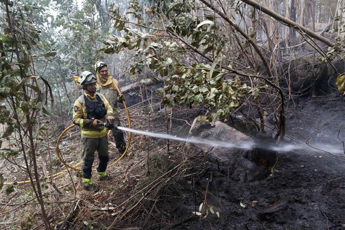 Bomberos trabajan en las tareas de extinción del incendio forestal en Cervo, el pasado mes de noviembre.