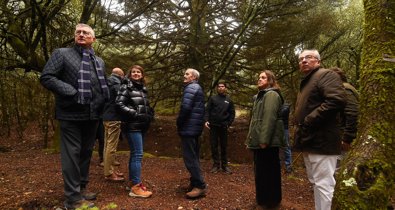 Es Andalucía - Málaga